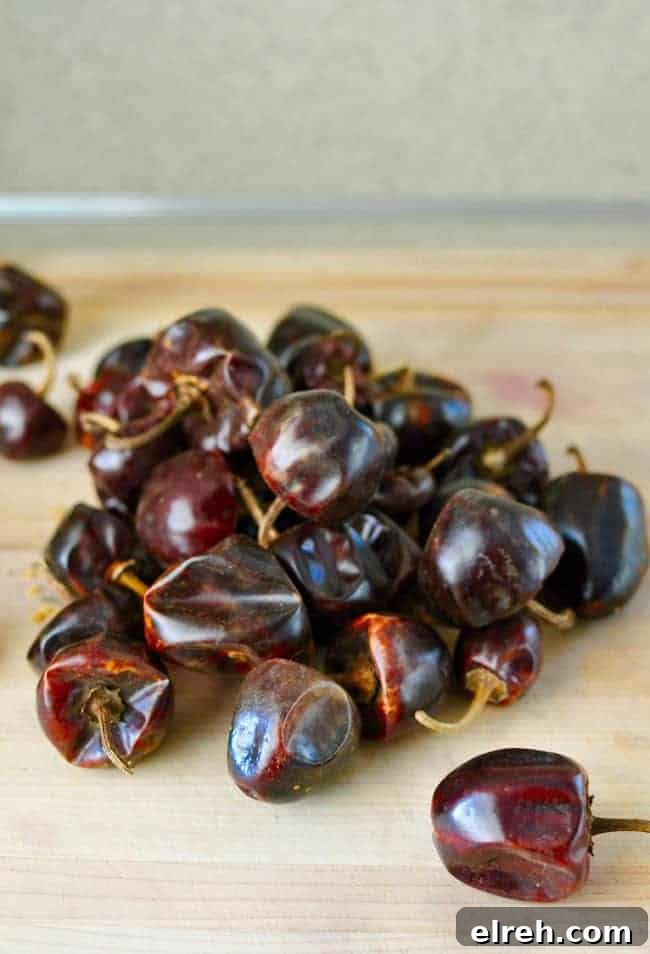 Since we've been loading up on pantry staples, we need to add dried chiles to that list for homemade Mexican cooking. See which 5 I have in my kitchen all the time. #chiles #driedchiles #Mexicanfood #Mexicanrecipes 