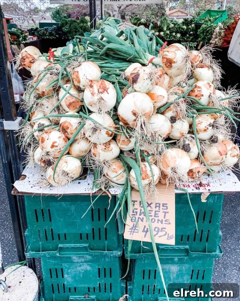 Mexican recipes use onions in very special and unique ways. Find out how to use onions "the Mexican way" and other ingredients to make Mexican food happen in your kitchen. #mexicanrecipes #mexicanpantry #mexicanfood #onions
