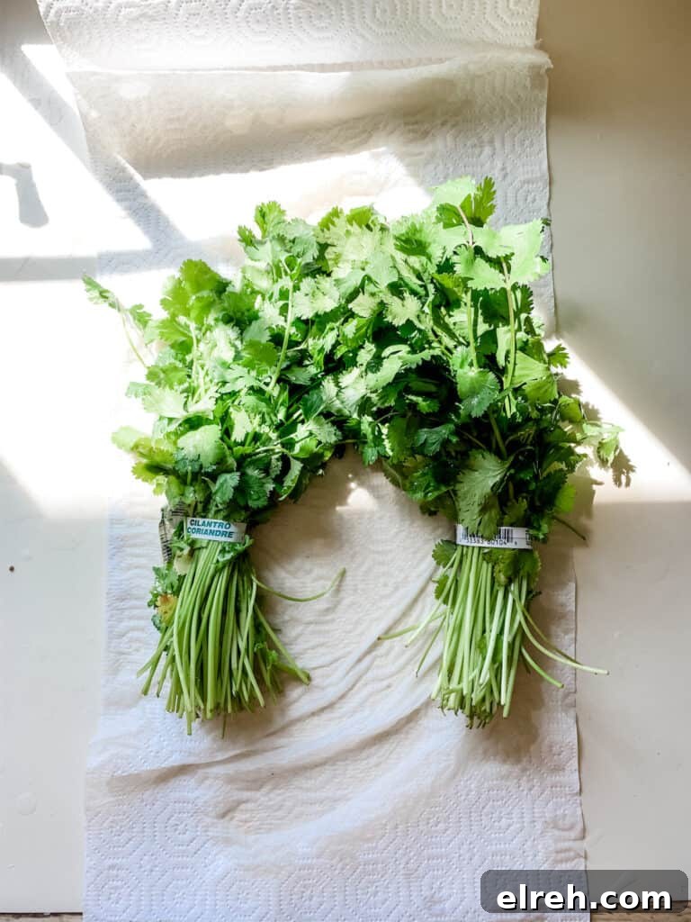 Fresh herbs, like cilantro, are at the heart of so many healthy Mexican recipes. See what else is in our fridge to make Mexican food at home. #mexicanfood #mexicanrecipes #mexicanrecipes #cilantro