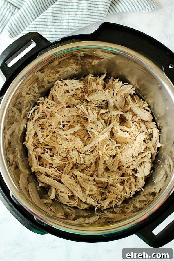 How to cook shredded chicken in Instant Pot for meal prep. Overhead shot of shredded chicken breasts in Instant Pot.