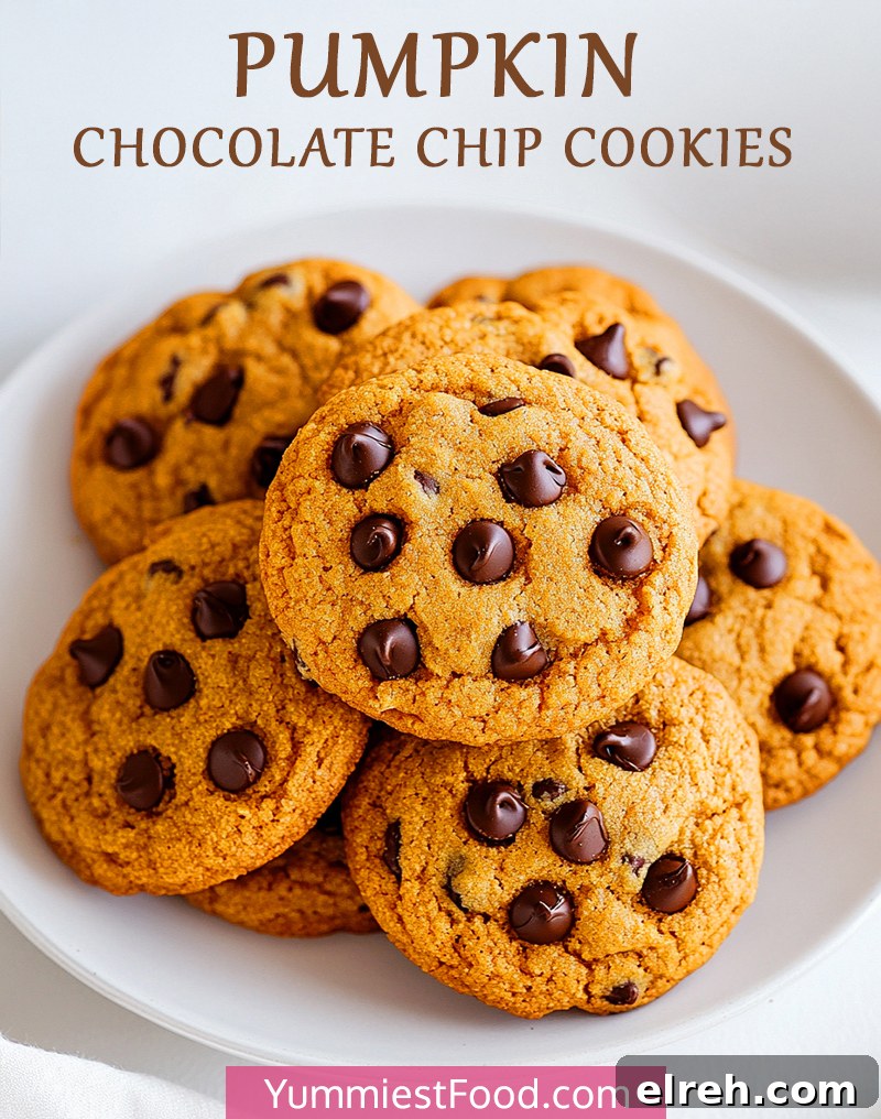 Pumpkin-Chocolate-Chip-Cookies 3