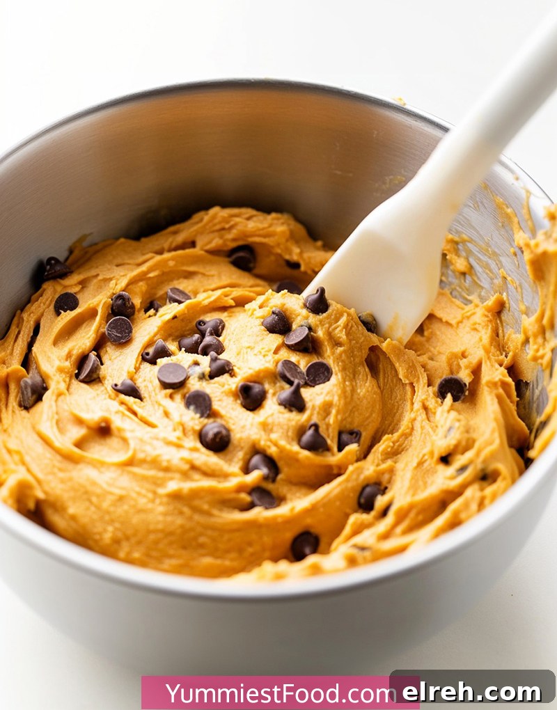 Pumpkin-Chocolate-Chip-Cookies 2