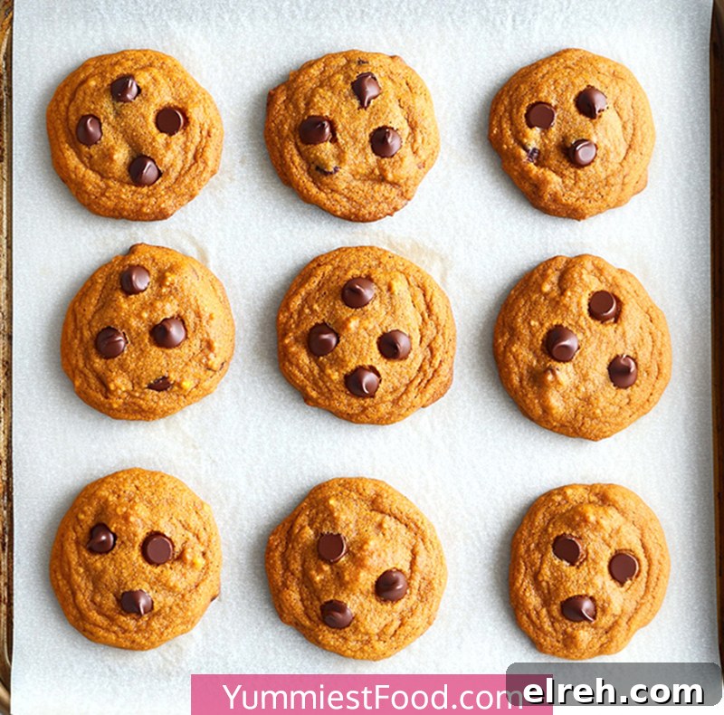 Pumpkin-Chocolate-Chip-Cookies 1