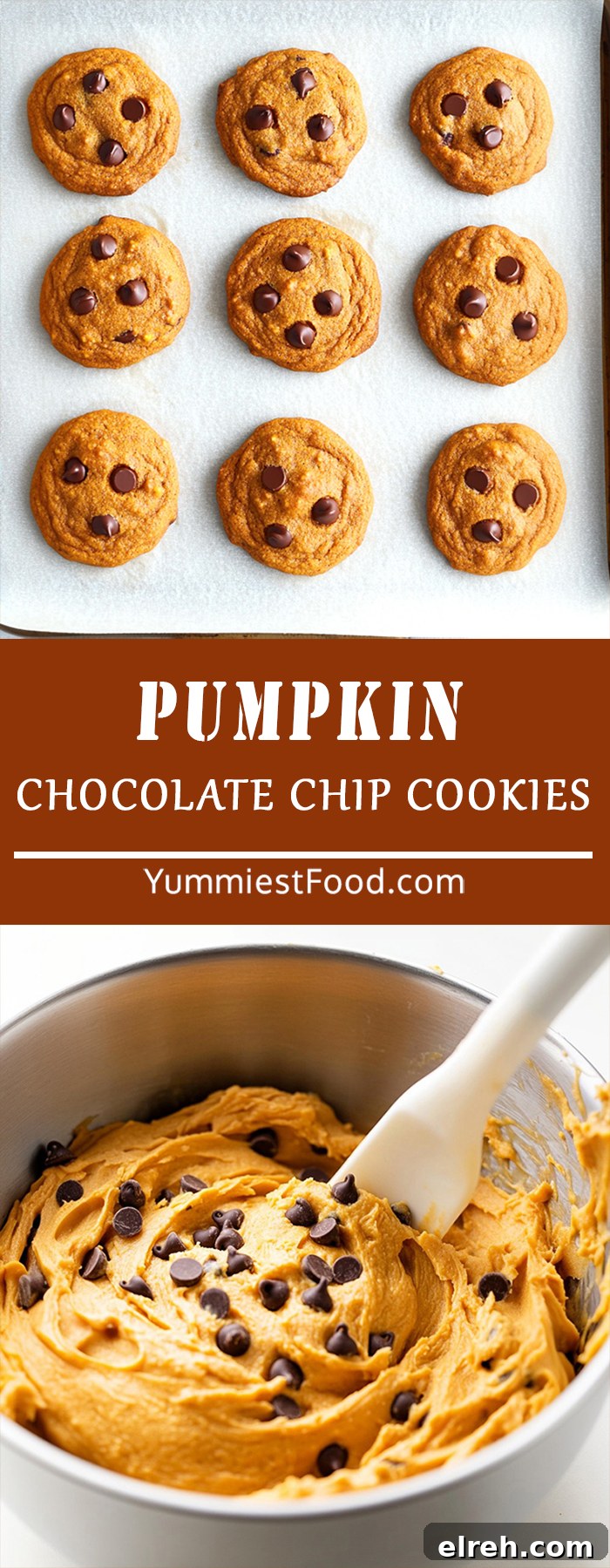 Soft and chewy 3-ingredient pumpkin chocolate chip cookies, an easy and flavorful dessert for fall!