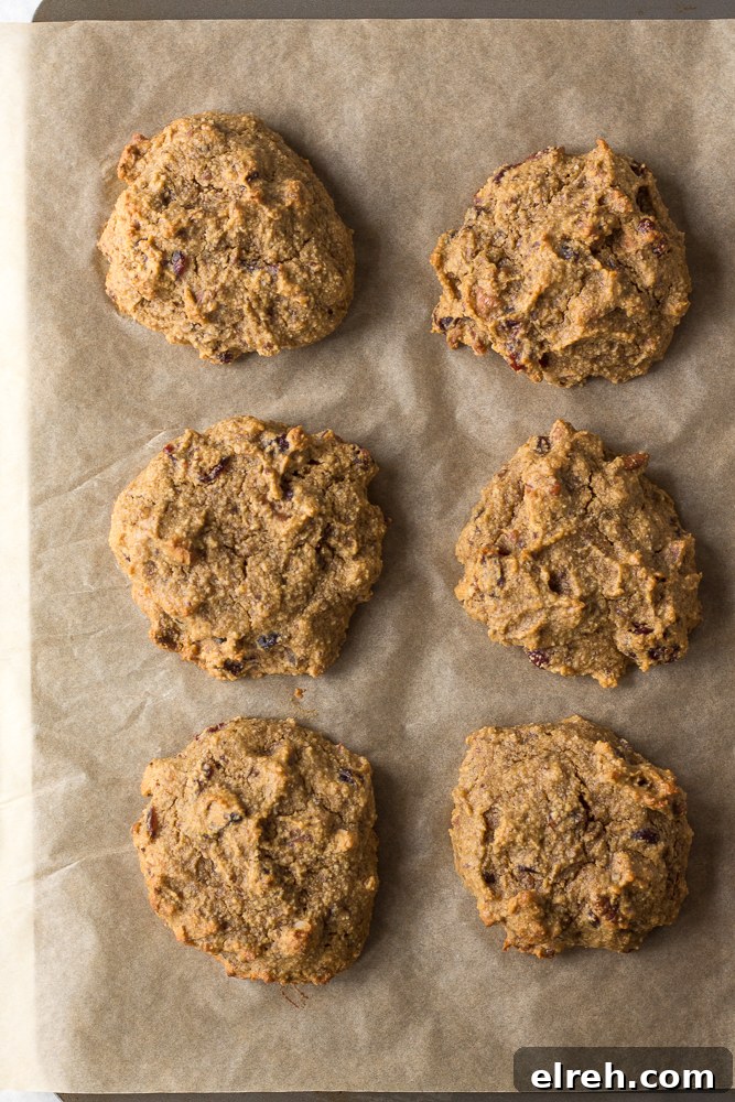 Grain-Free Sweet Potato Breakfast Cookies Recipe 5 Grain-Free Sweet Potato Breakfast Cookies baked on parchment paper by Flora & Vino