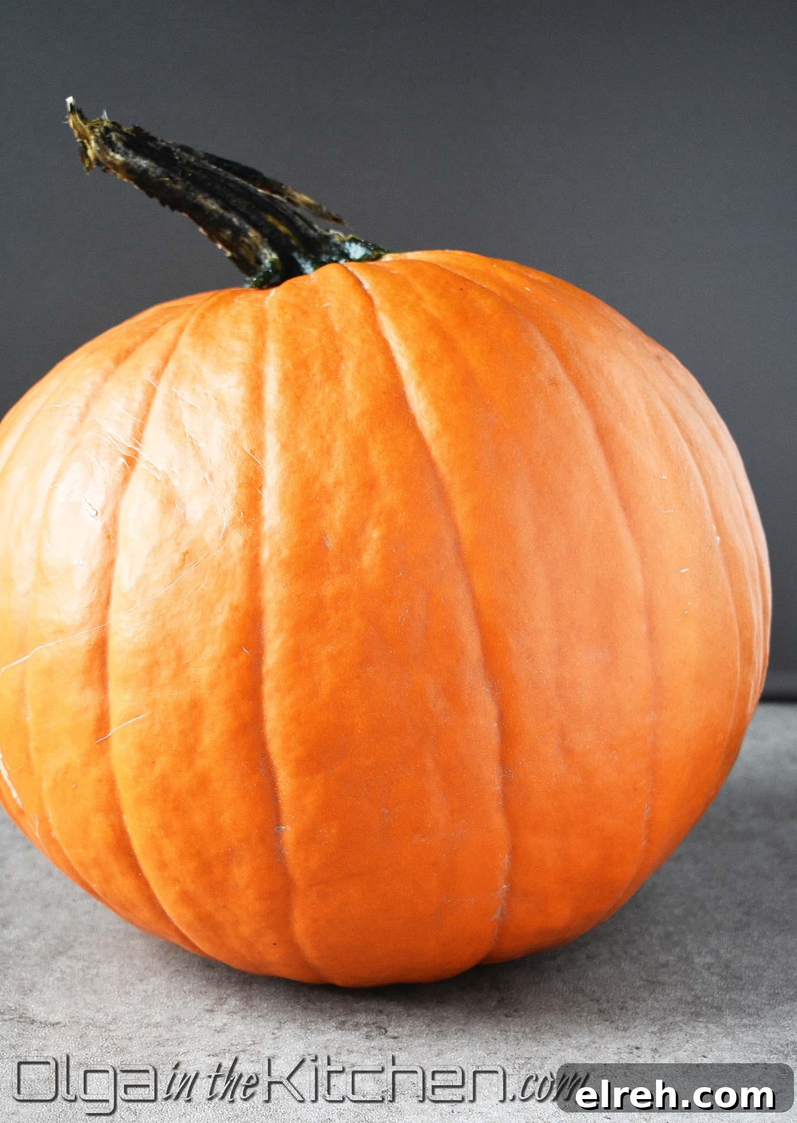 Pumpkin seeds spread out on a towel