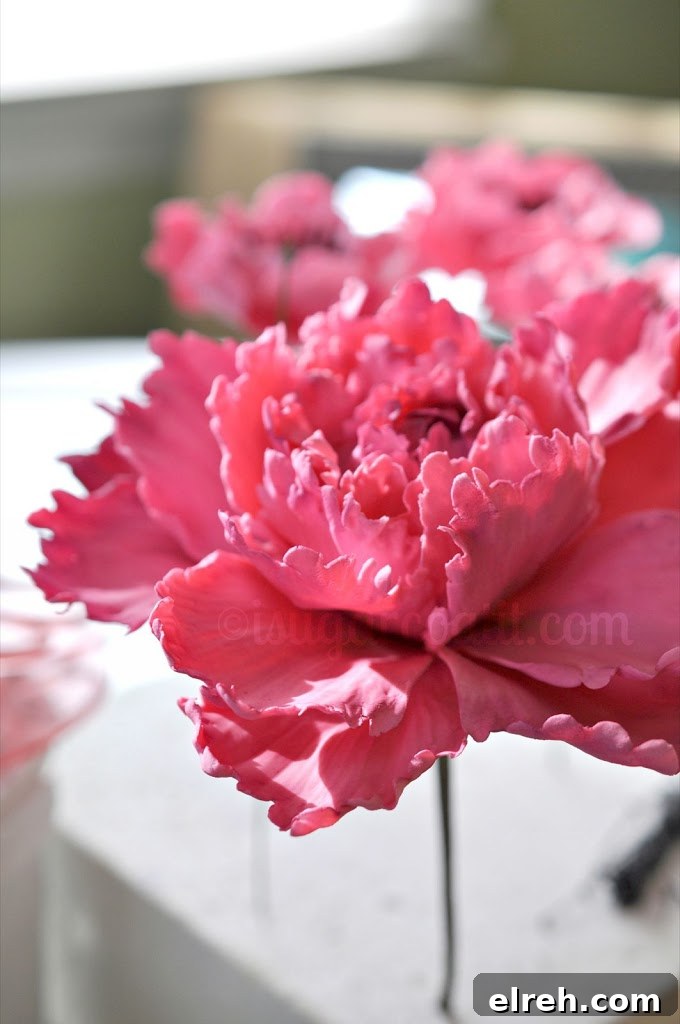 Princess Peony - I Sugar Coat It