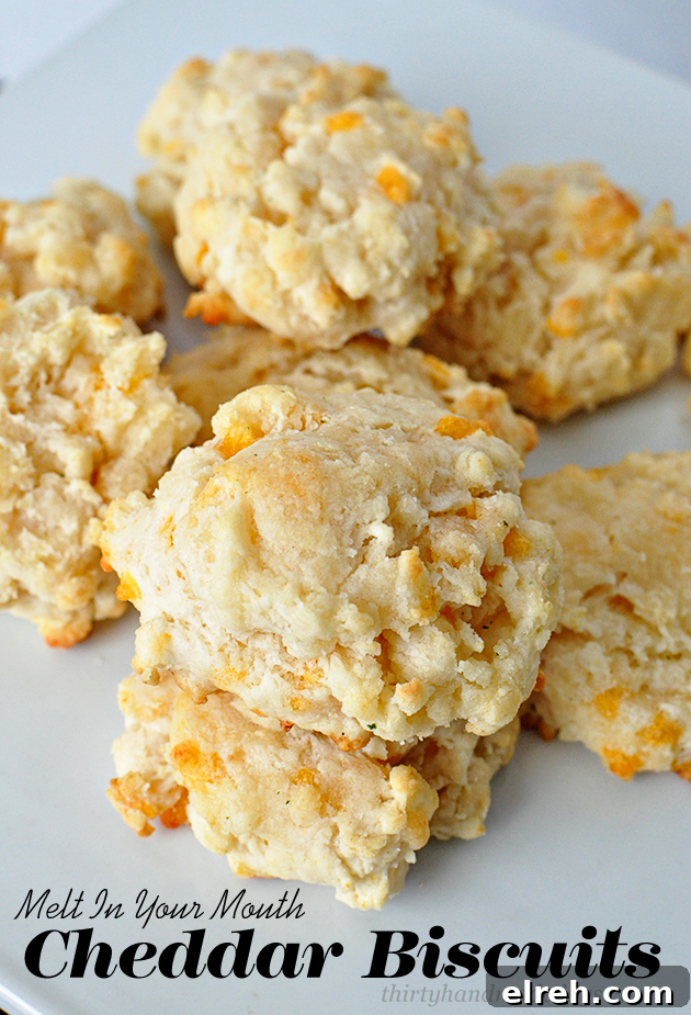 Melt-in-your-mouth cheddar biscuits