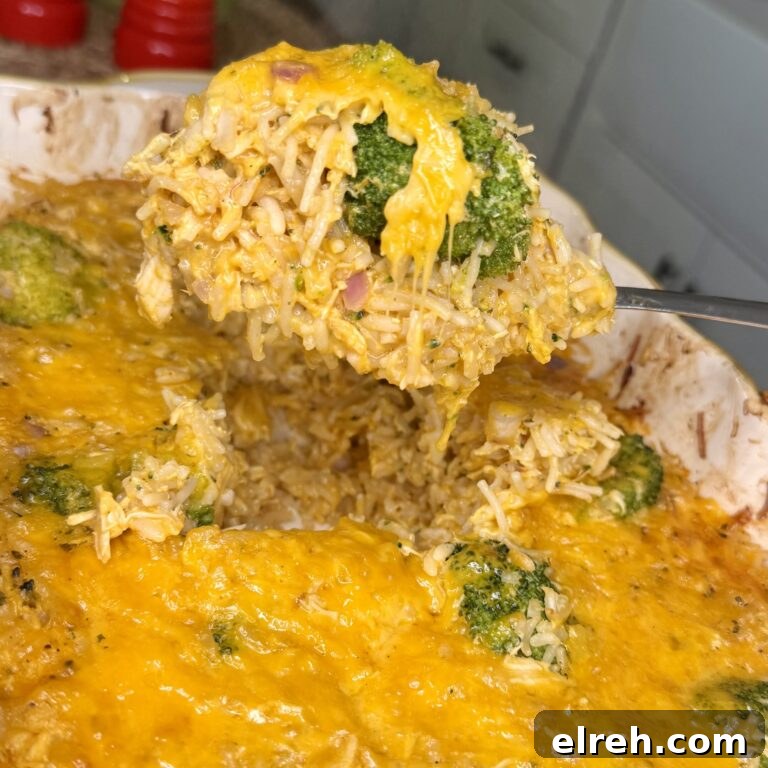 Crockpot Chicken Drumsticks Recipe 20 Knorr Broccoli Rice and Chicken Bake