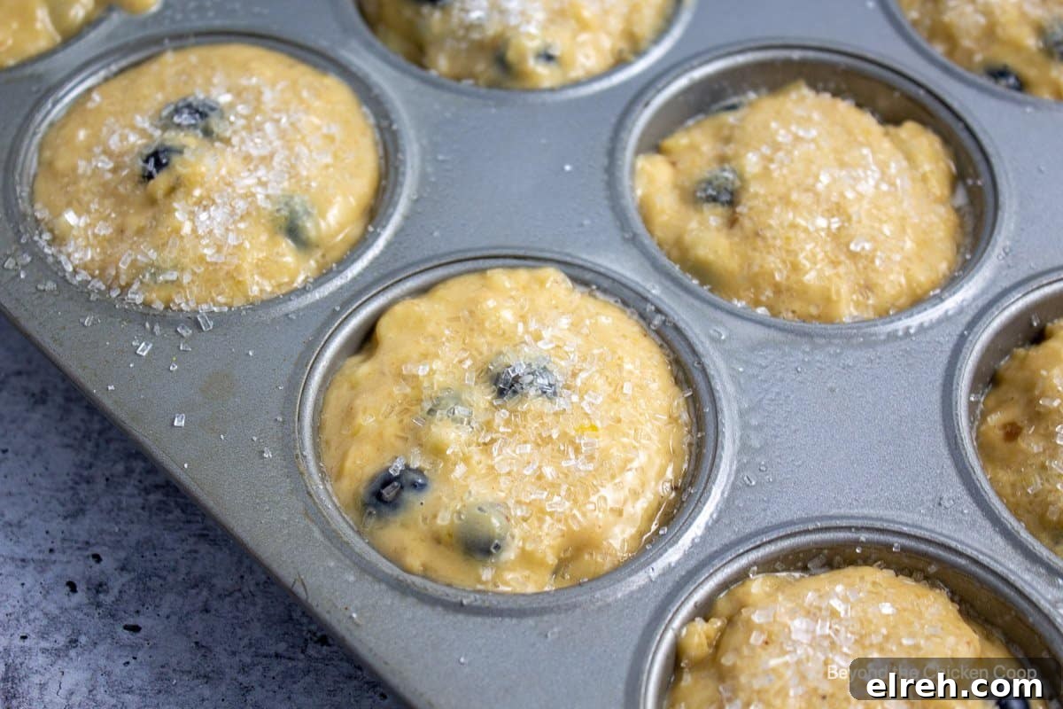 Muffin batter in a muffin tin.