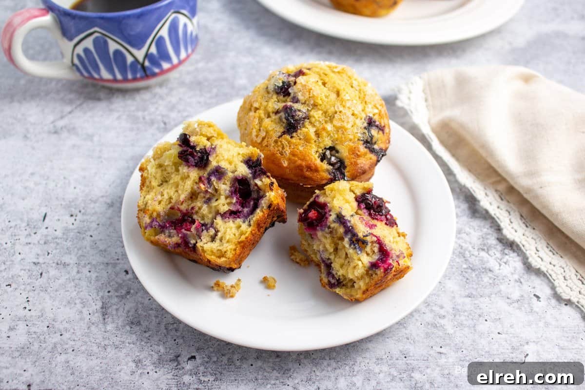 Blueberry muffins on a small plate.