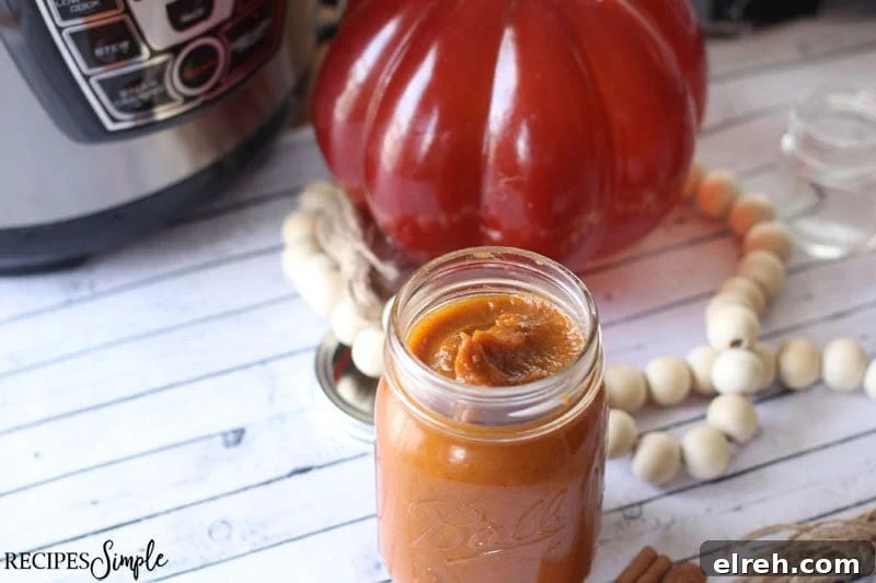Instant Pot Spiced Pumpkin Butter