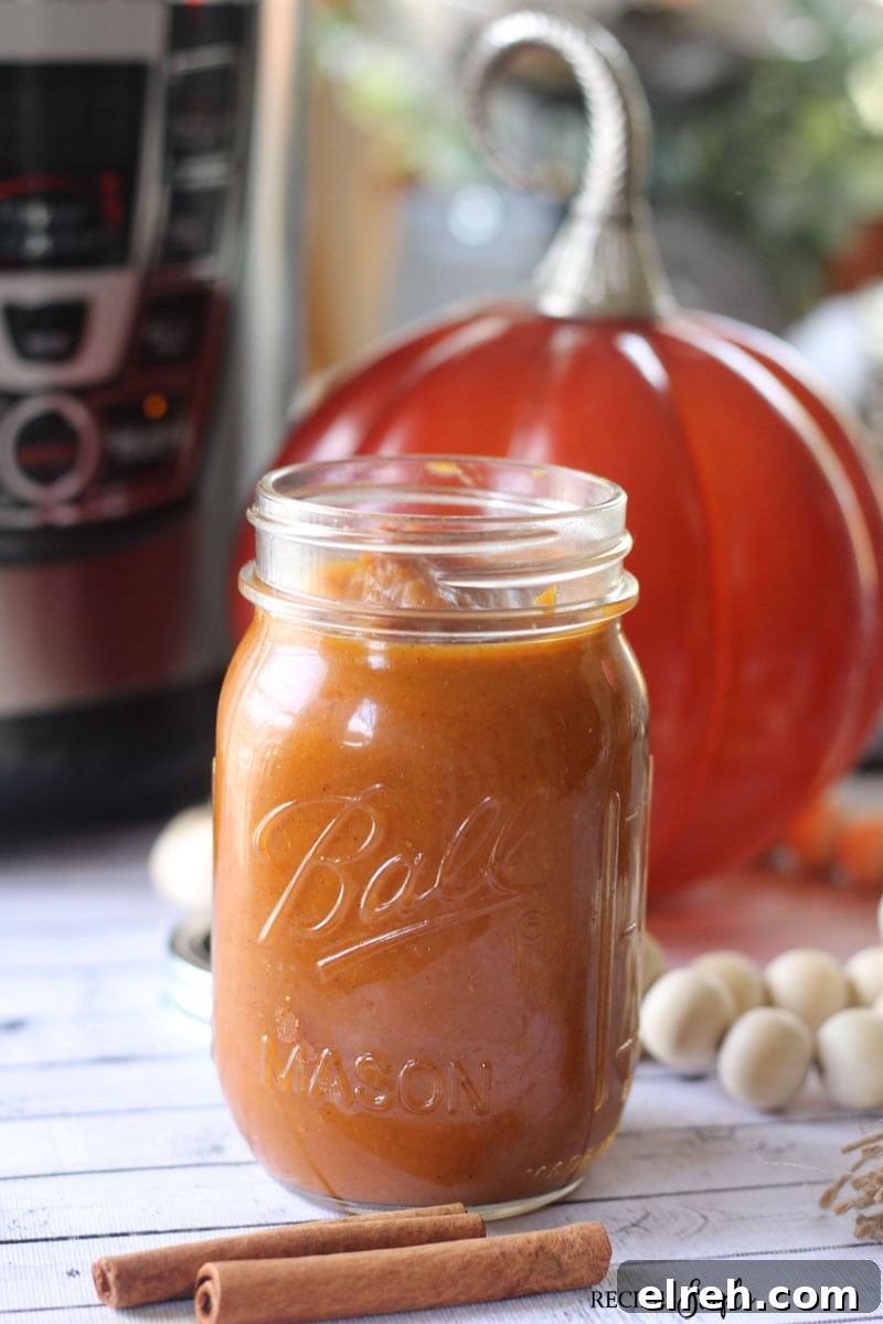 Instant Pot Pressure Cooker Spiced Pumpkin Butter