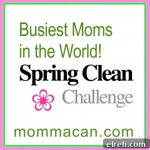 springcleaninglogosides2 spring cleaning logo