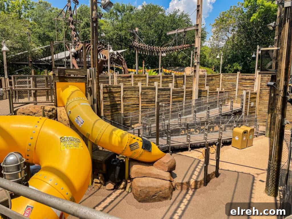The Boneyard at Dinoland USA.