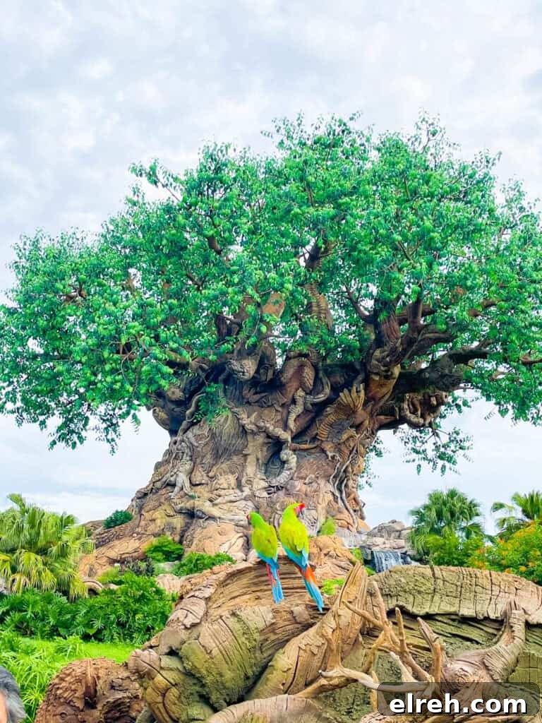 Parrots sitting below the Tree of Life.