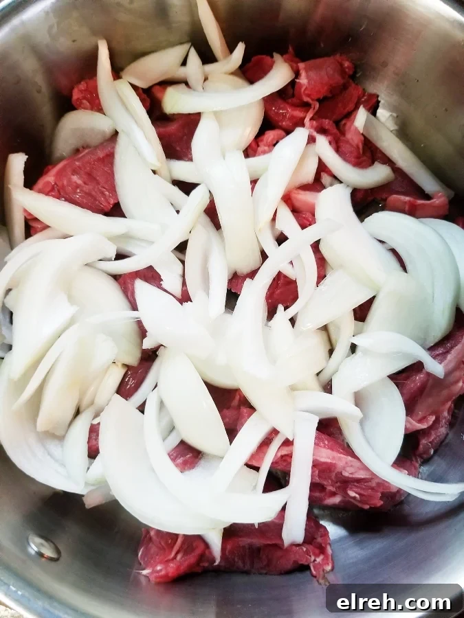 Mom's Creamy Beef Stroganoff with Sliced Steak 4 img 3380 4