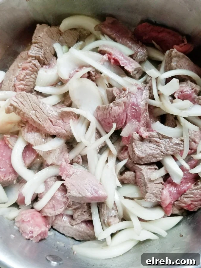 Mom's Creamy Beef Stroganoff with Sliced Steak 5 img 3380 5