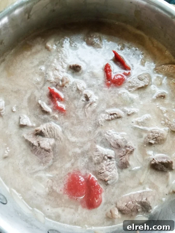 Mom's Creamy Beef Stroganoff with Sliced Steak 6 img 3380 6