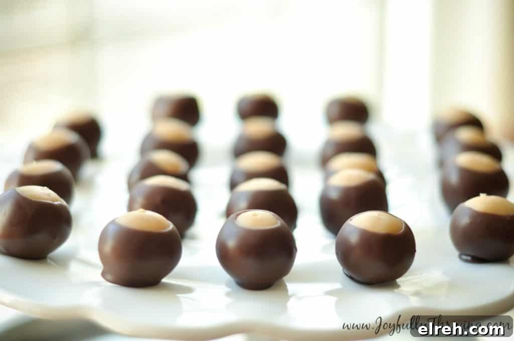 30+ Holiday Dessert Recipes from Around the World 14 Classic Buckeyes