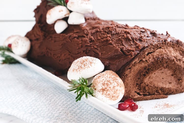 30+ Holiday Dessert Recipes from Around the World 3 Bûche de Noël Cake (French Yule Log Cake)