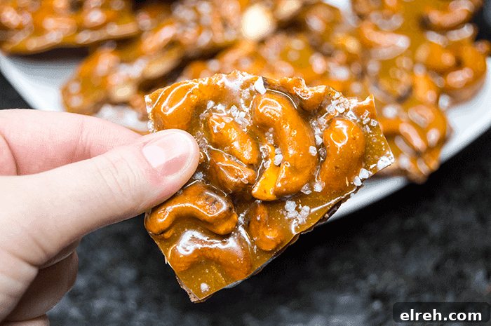30+ Holiday Dessert Recipes from Around the World 28 Sea Salt Cashew Brittle