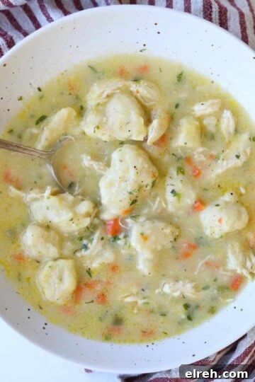 large white speckled bowl full of chicken and dumplings
