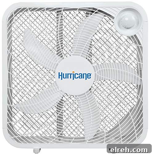 Disney Fort Wilderness Camping Packing List 11 box fan for campsite