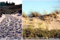 Unforgettable Summer Days to Make the Most of the Season