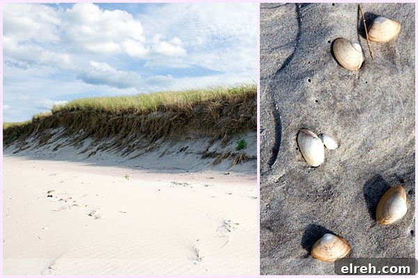 crane beach