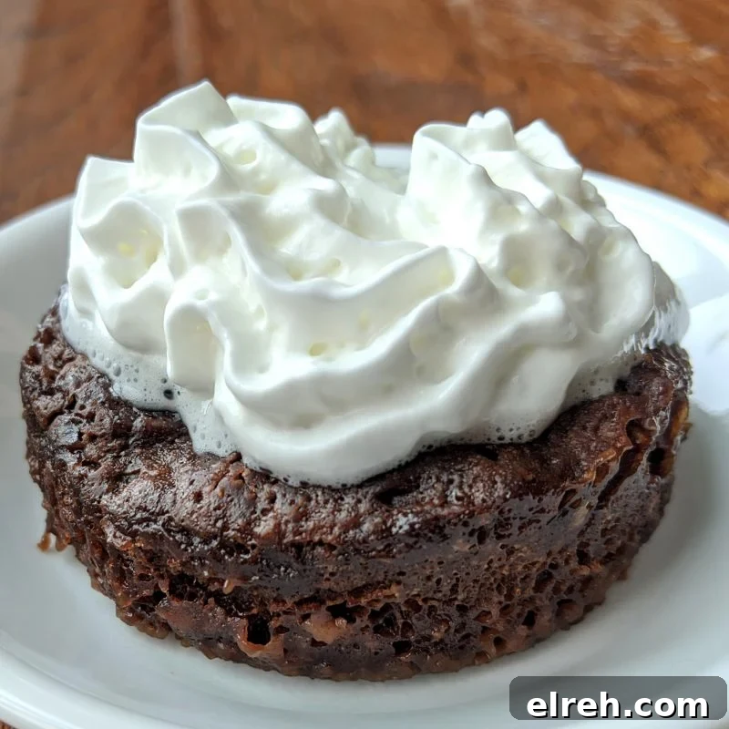 100 calorie brownie in a mug