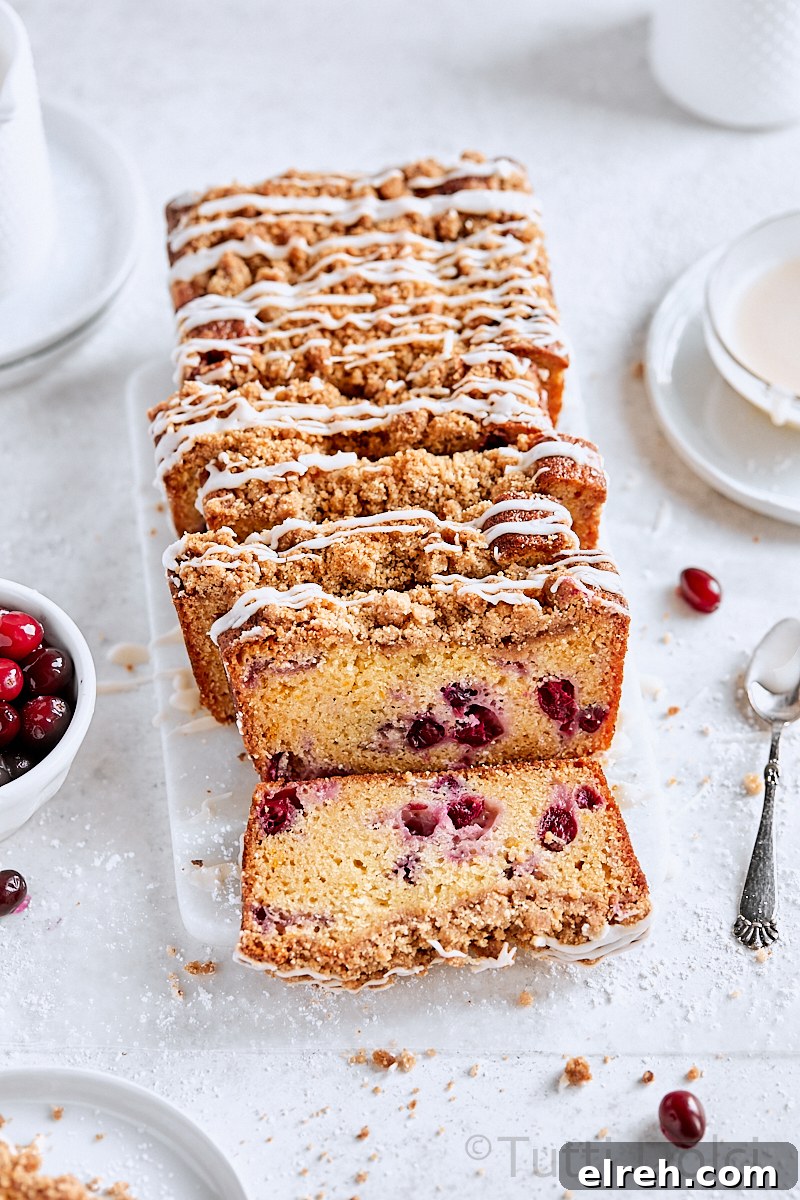 Cranberry Streusel Bread with Crumb Topping 4 Cranberry Streusel Bread