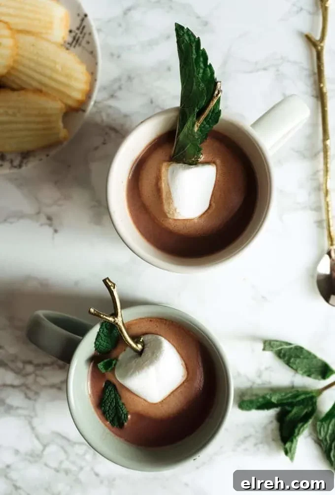 Creme de Menthe Hot Chocolate Recipe 7 boozy mint hot chocolate photo