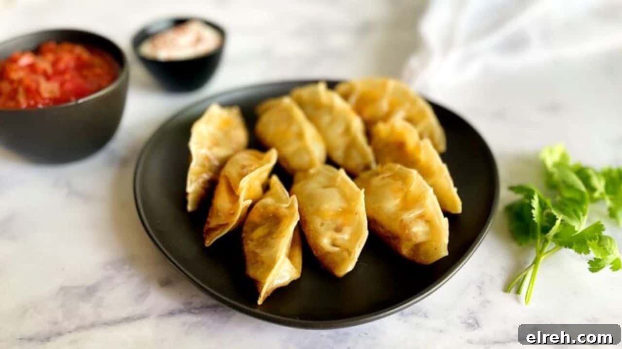 13 Kid-Approved New Year Treats to Close Out 2025 10 taco dumplings in a black plate with ketchup dipping sauce