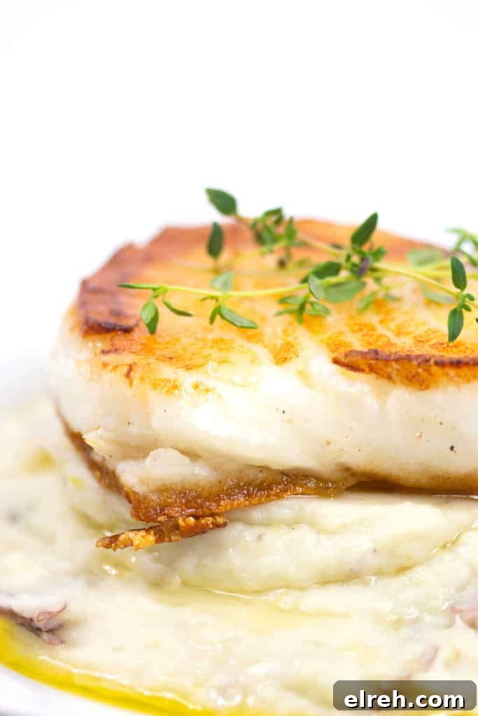 pan seared sea bass