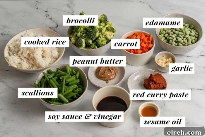 Visual list of labelled ingredients for making a vegan red curry fried rice recipe.