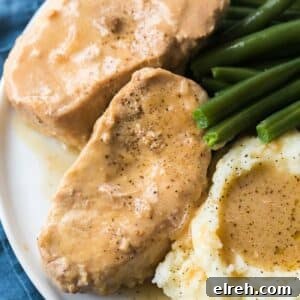crock pot pork chops recipe
