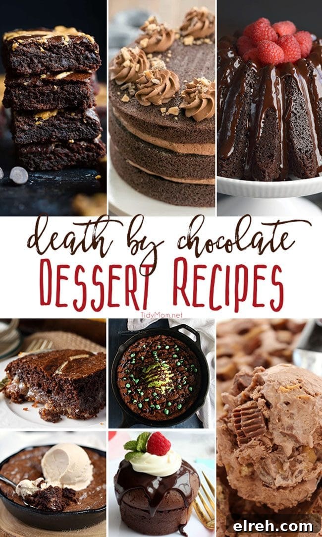 Death by chocolate dessert recipes you must make! Each one is a show-stopper perfect for any occasion! Get all the recipes and details at TidyMom.net