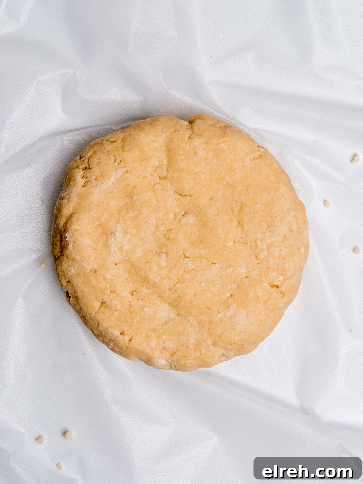 Pie dough flattened on a sheet of plastic wrap.