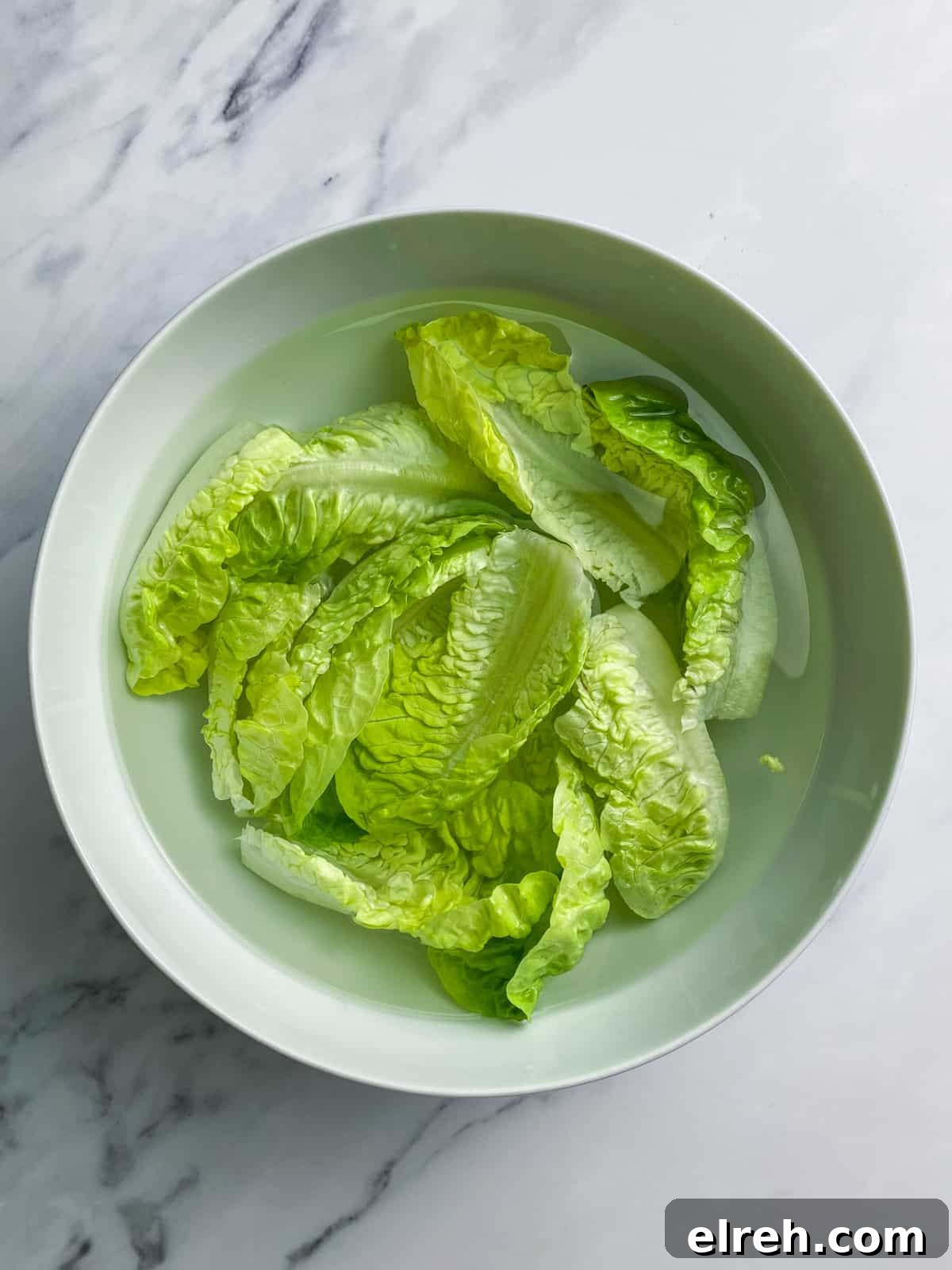 Vegan San Choy Bau Lettuce Cups 10 Photo of a bowl of lettuce leaves soaking in iced water.