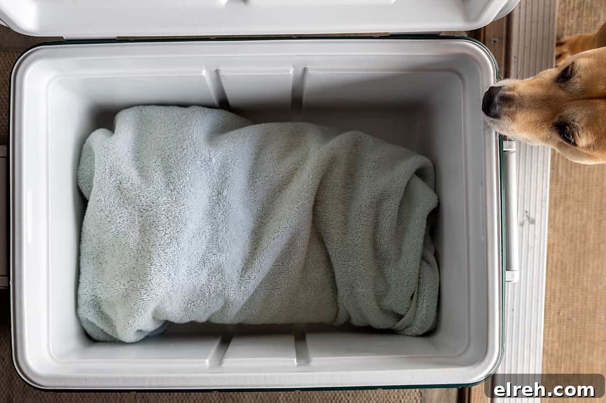 brisket pastrami wrapped in towel in cooler. 