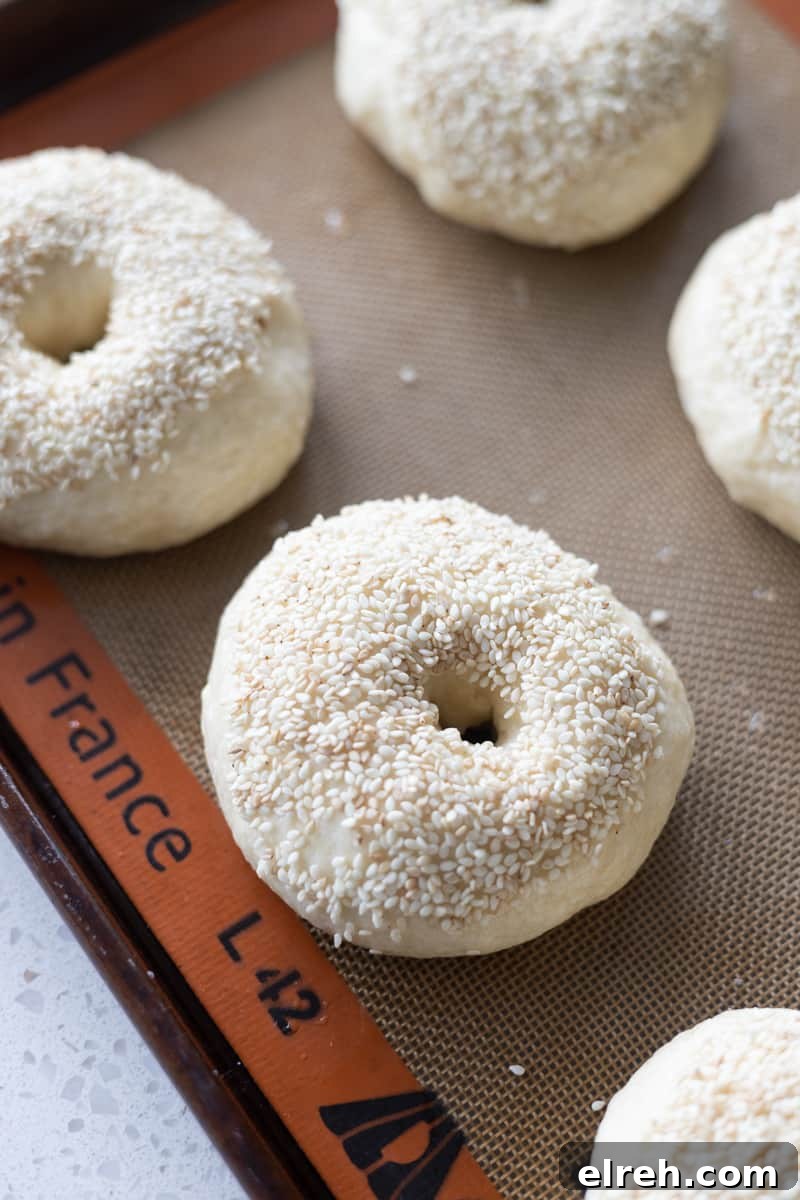 Bagels sprinkled with a sesame seed topping. 