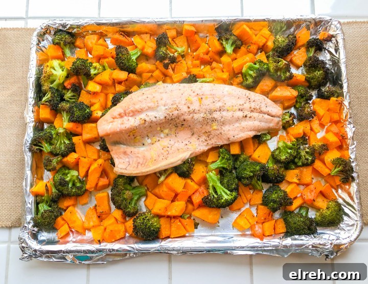 Sheet-Pan Salmon with Roasted Butternut Squash and Broccoli 5 img 4808 4