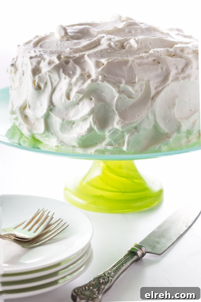 Irish Coffee Chocolate Cake Recipe 3 Irish coffee chocolate cake covered with stabilized whip cream