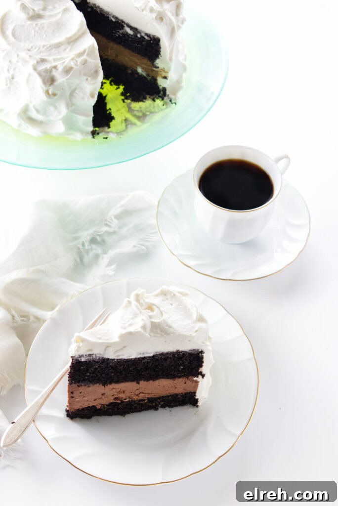 Irish Coffee Chocolate Cake Recipe 7 Overhead view of a serving of Irish Coffee Chocolate Cake