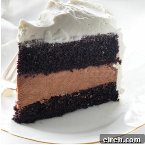 Irish Coffee Chocolate Cake Recipe 8 A slice of cake on a plate.