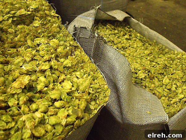 Sierra Nevada Brewing Co. Tour in Chico, CA 6 Sierra Nevada Brewery Tour - Chico, California