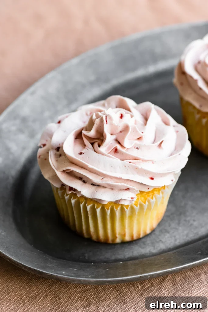 Lemon Raspberry Cupcake Recipe with Zesty Lemon Frosting 2 Two lemon cupcakes with raspberry buttercream frosting sitting on an oval metal plate.