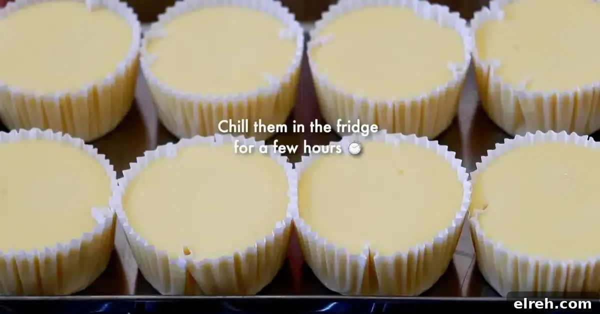 Mini Strawberry Cheesecake Bites Recipe 14 chilling baked cheesecake cupcakes