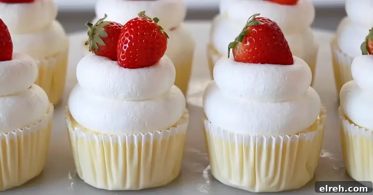 Mini Strawberry Cheesecake Bites Recipe 18 strawberry mini cheesecakes frosted with whipped cream and filled with strawberry jam